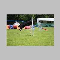 IMG_1007.jpg